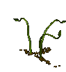 explode