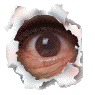 eye